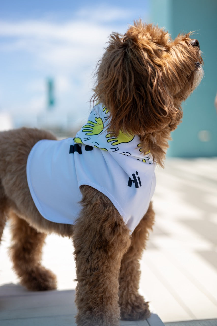 A Golden Doodle named Buddy wears a Hi Happy Interactions Pet Hoodie
and waits for a treat