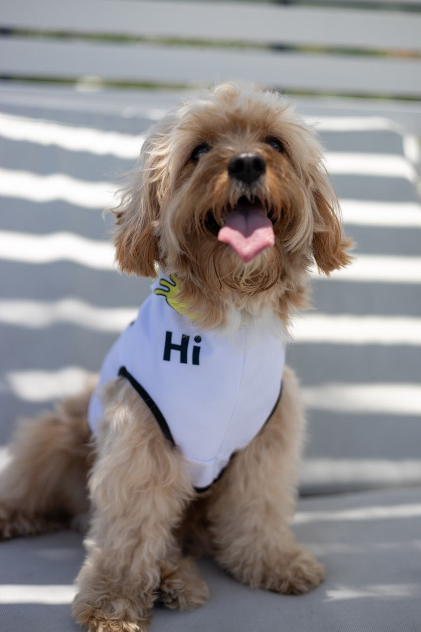 A cockapoo named Leo wears a Hi Happy Interactions Pet Hoodie and poses with his tongue out