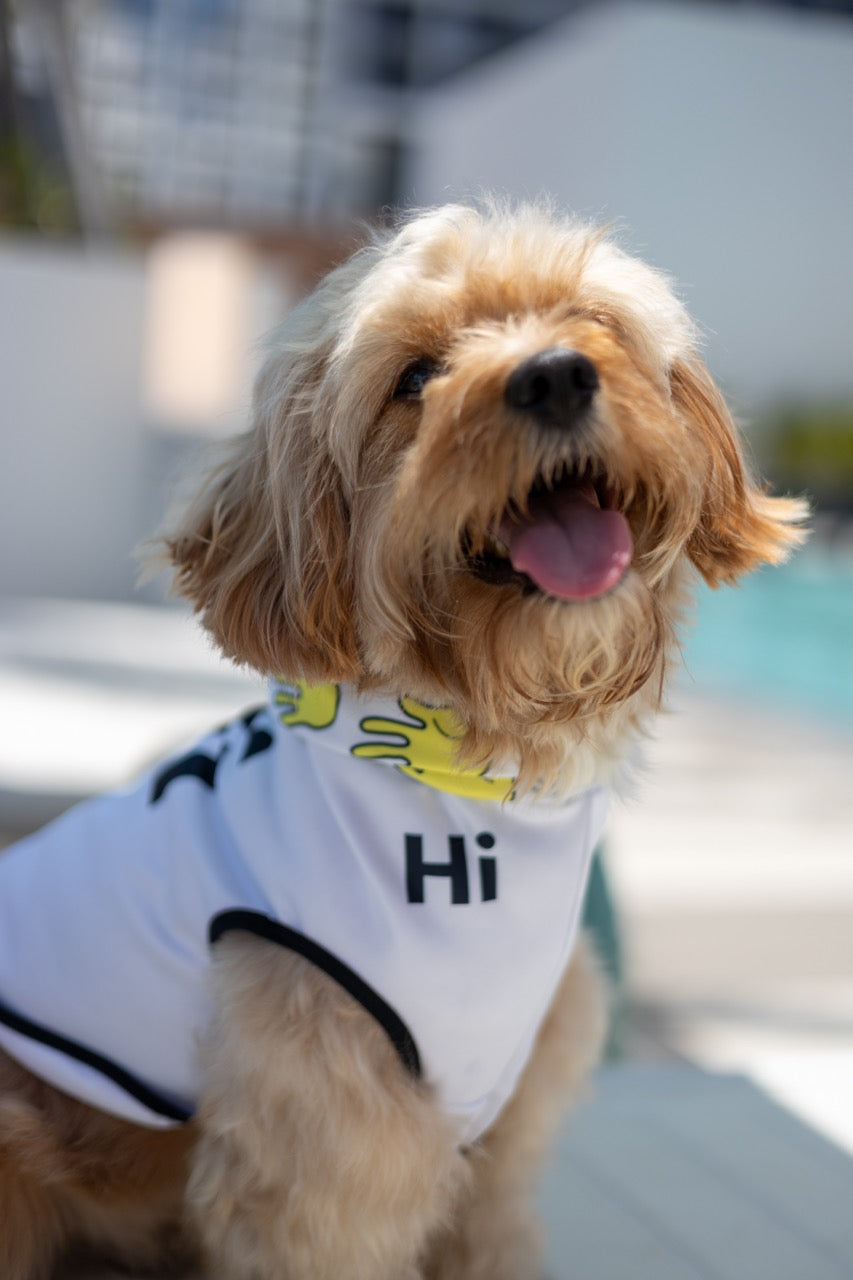 A cockapoo named Leo wears a Hi Happy Interactions Pet Hoodie