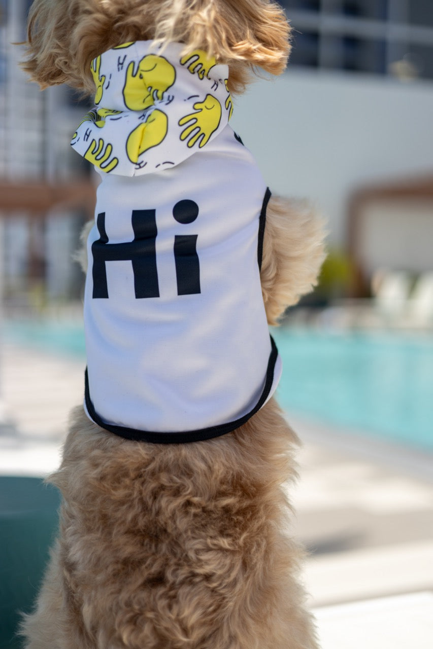 A Cockapoo named Leo stands up for a treat wearing a Hi Happy Interactions Pet Hoodie showing the Big Hi on the back