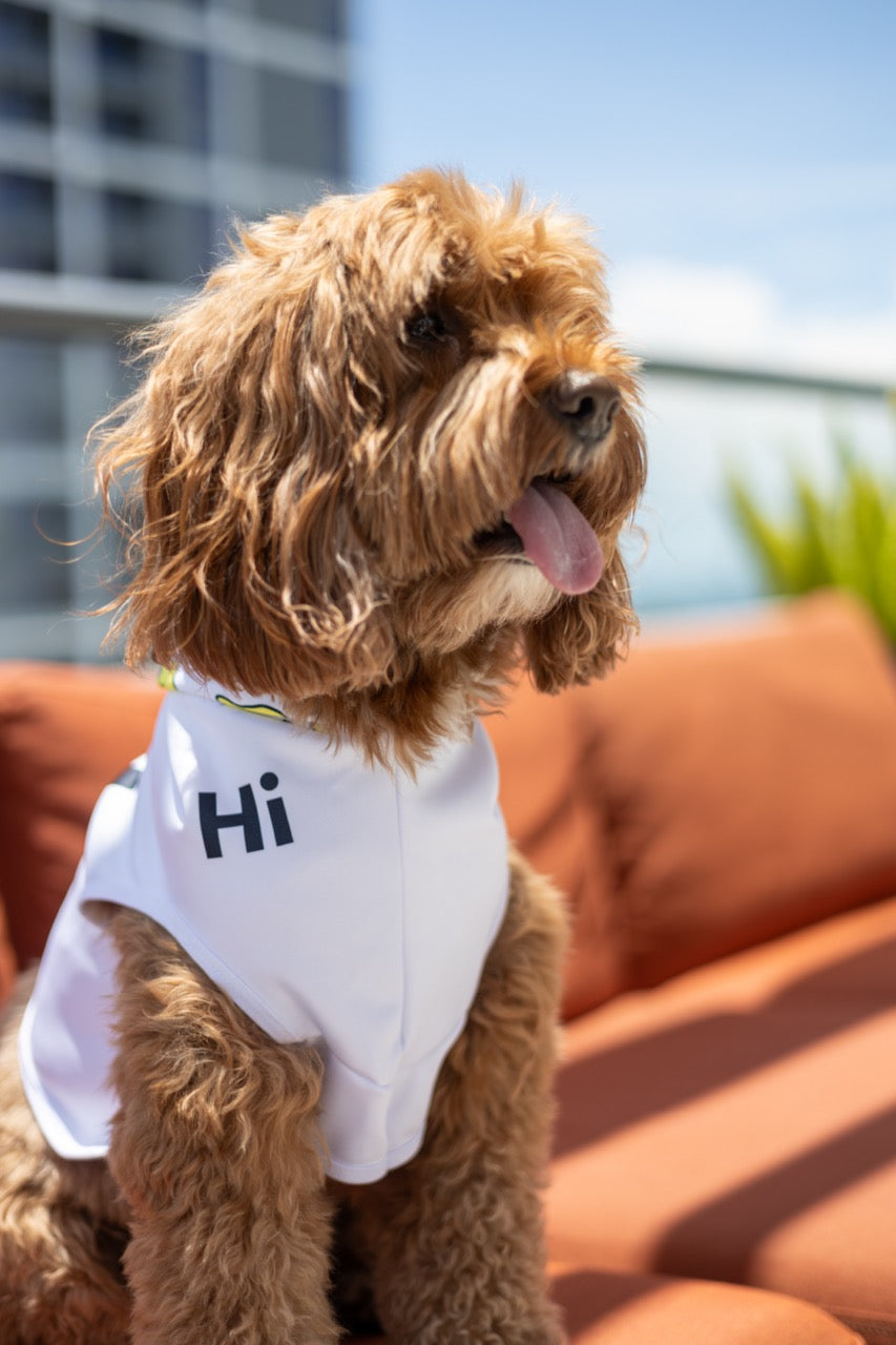 A Golden Doodle named Buddy wears a Hi Happy Interactions Pet Hoodie