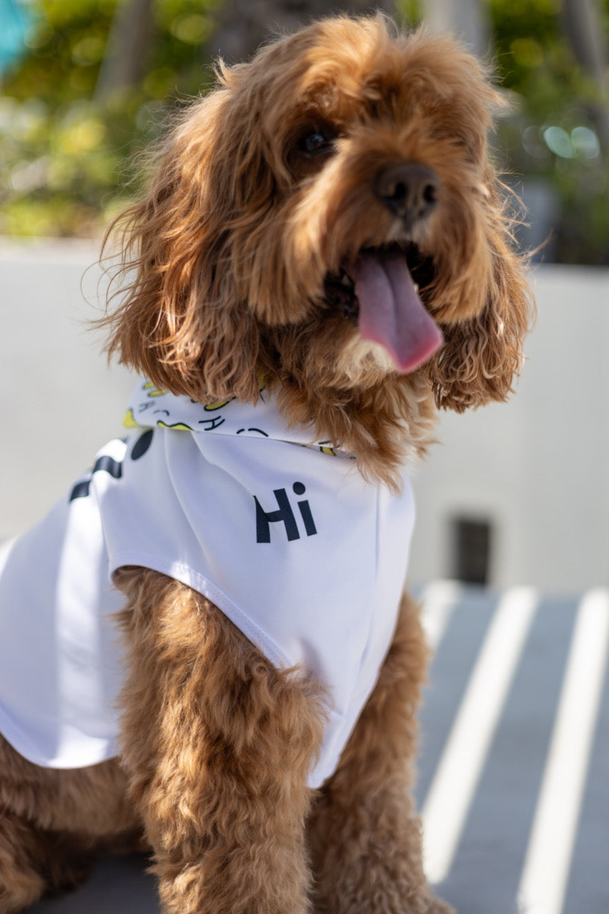 A golden doodle dog named Buddy wears a Hi Happy Interactions Pet Hoodie and poses with his tongue out