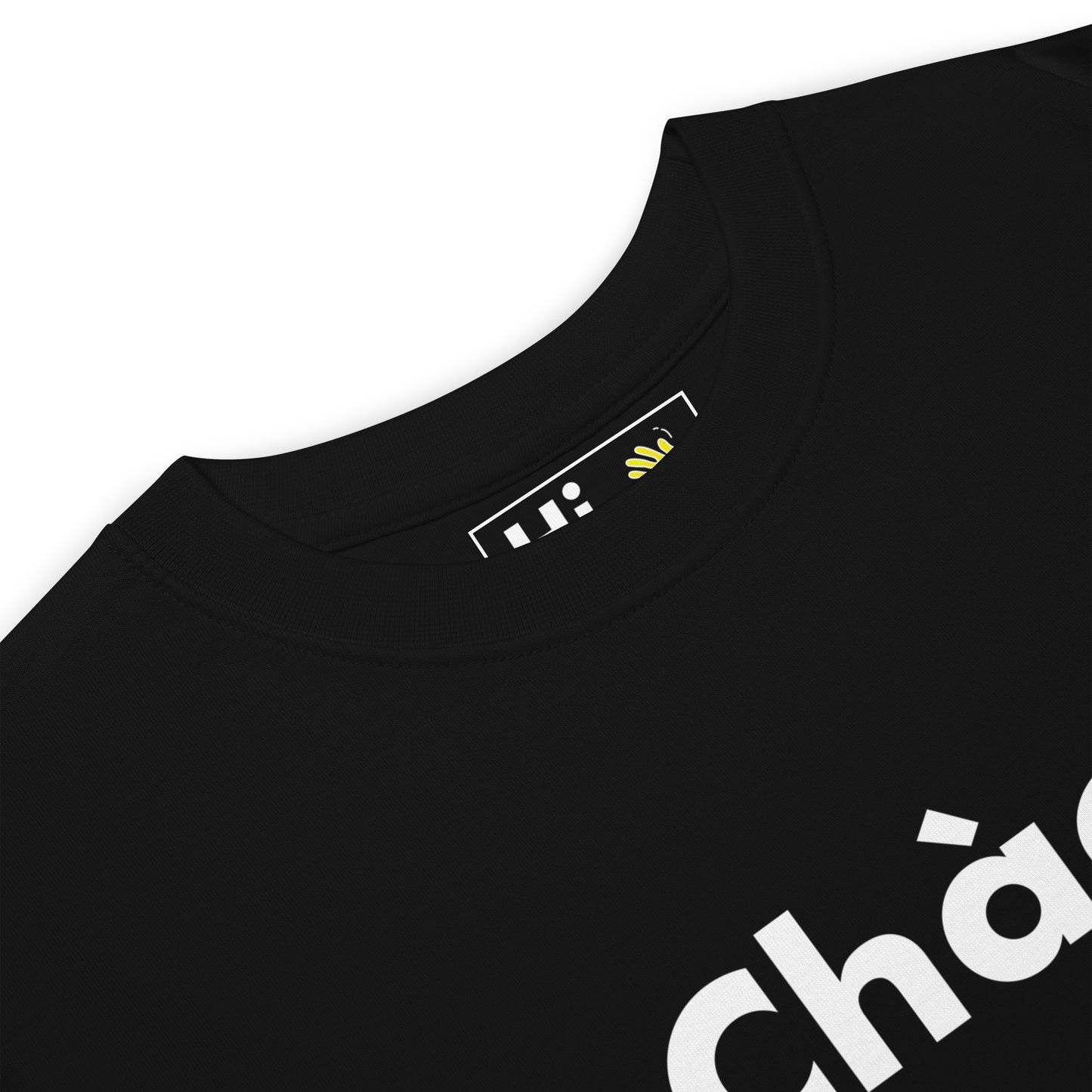 Hi Chào Vietnamese Greeting T Shirt in black front detail