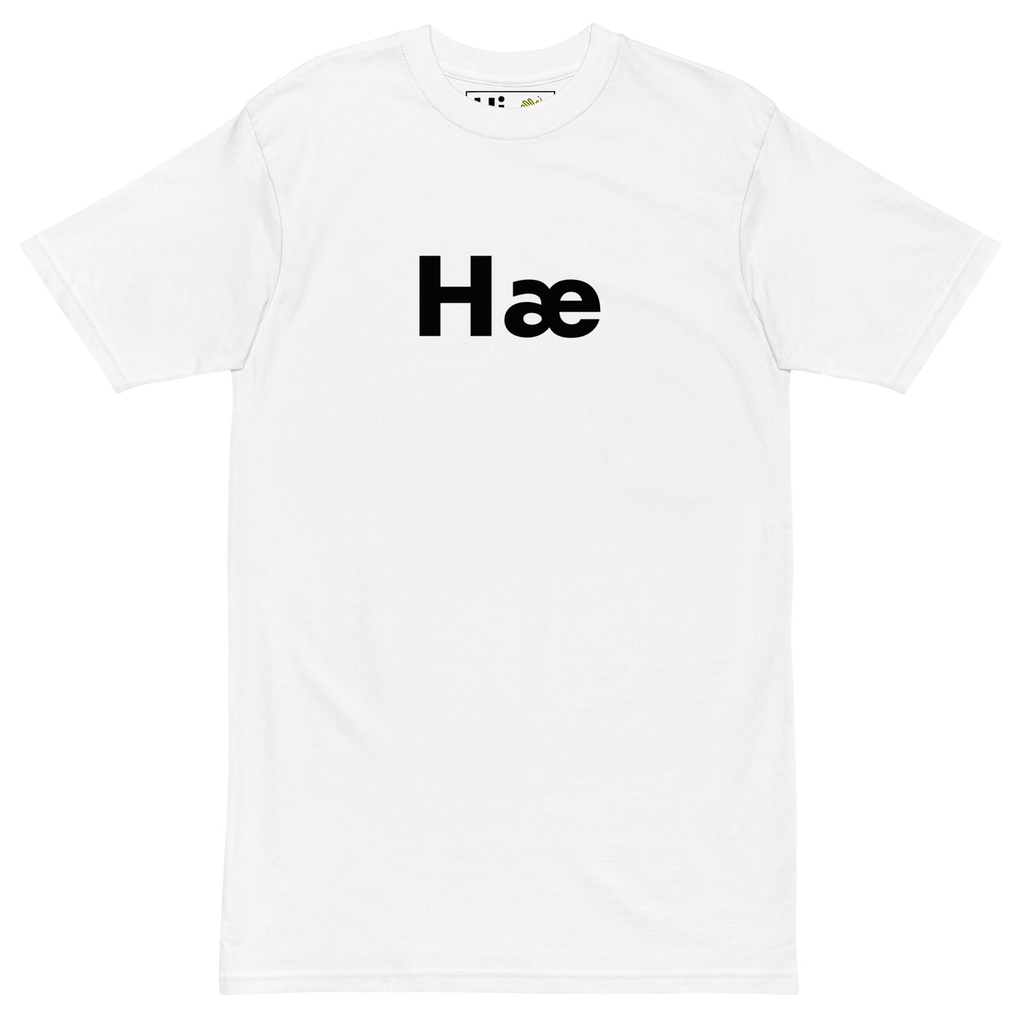 Hi Hæ Icelandic Greeting T shirt in white