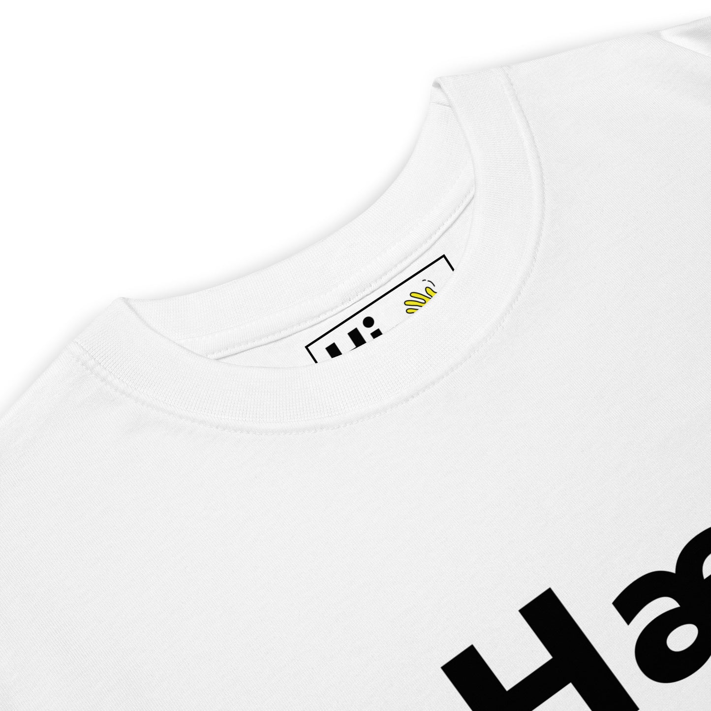 Hi Hæ Icelandic Greeting T shirt in white front detail