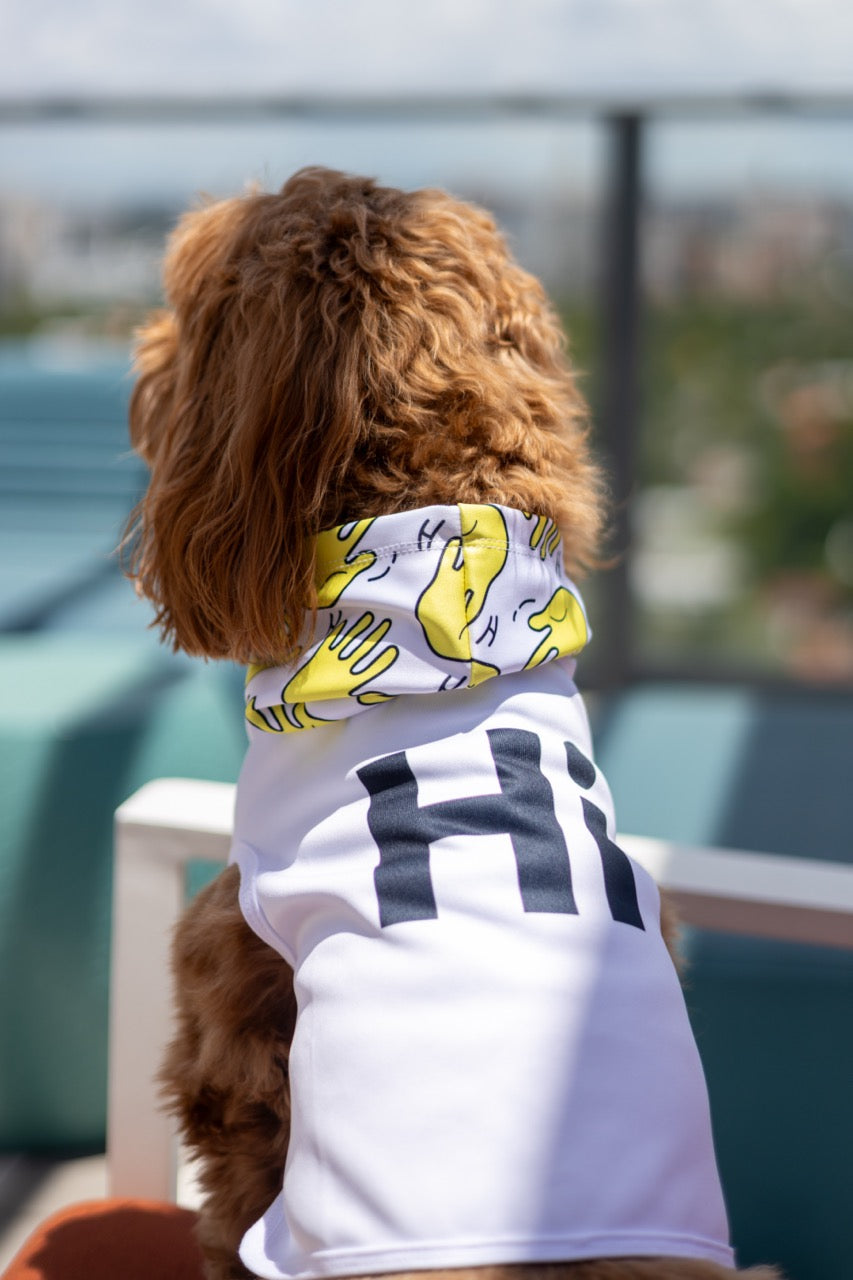 Buddy the Golden Doodle wears the Hi Happy Interactions Pet Hoodie showing the Big Hi On Back