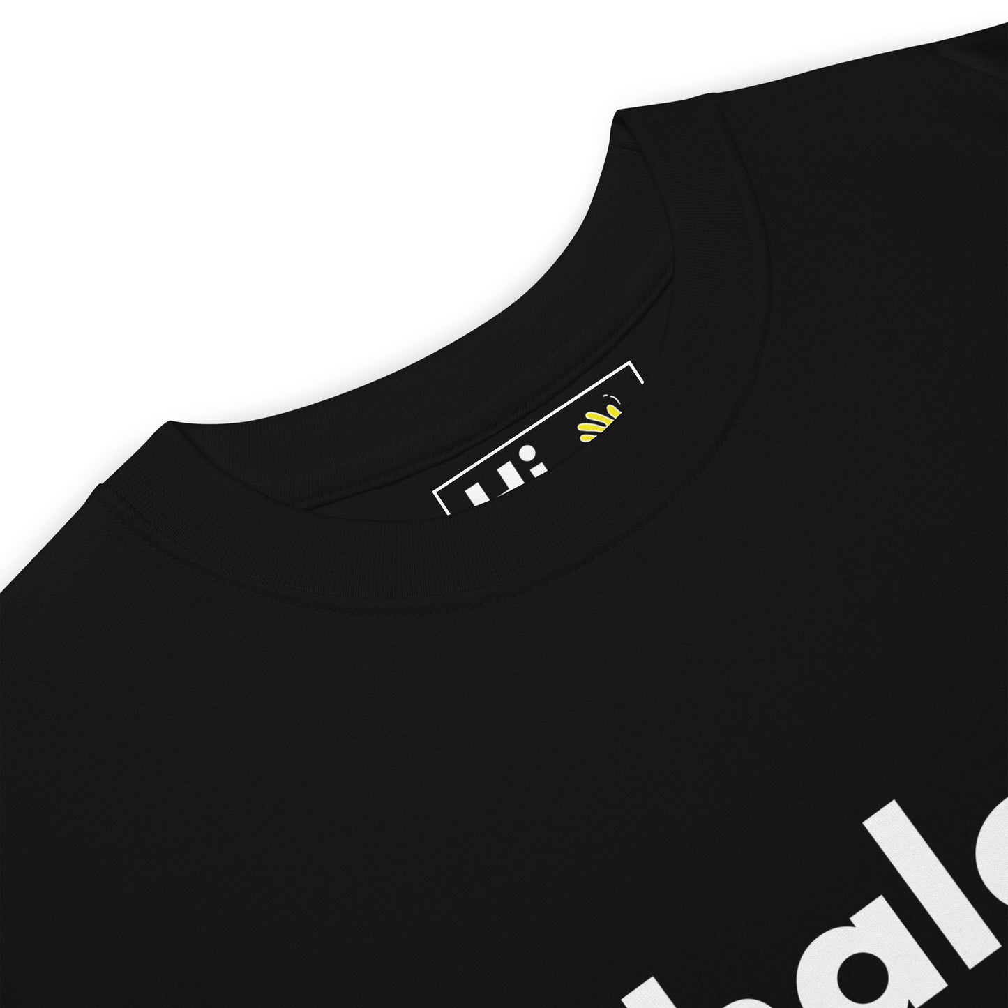 Hi Shalom שָׁלוֹם Greeting T shirt in black front detail