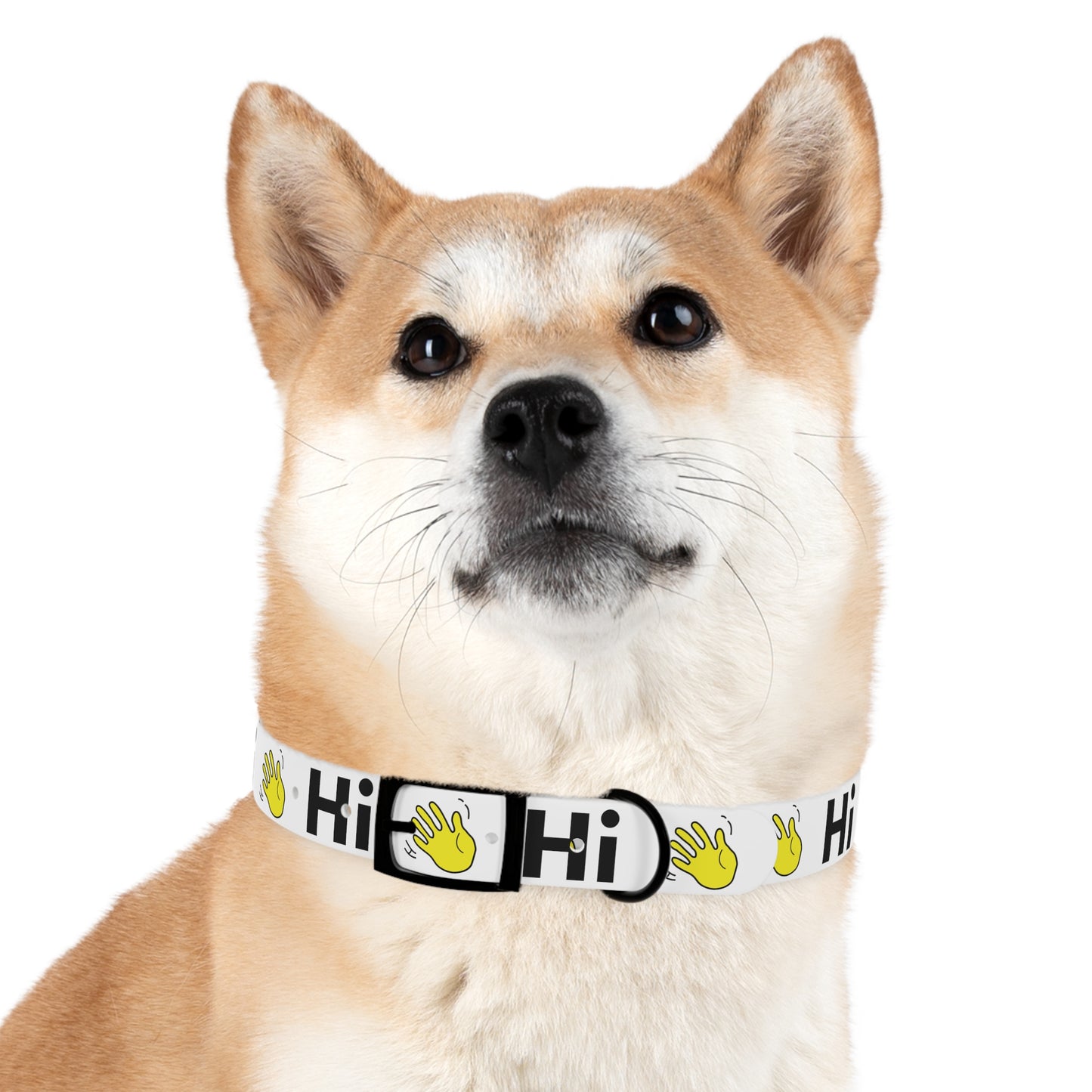 Hi 👋 Pet Collar