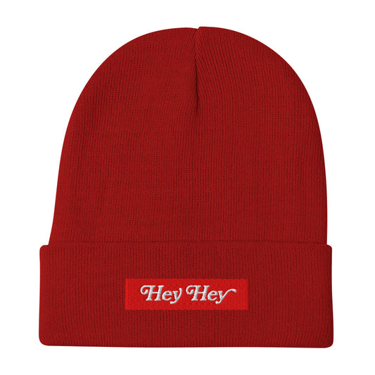 Hey Hey Hockey Town Red Hat Detroit Red Wings 100 Years Celebration Beanie from Hi Johnny