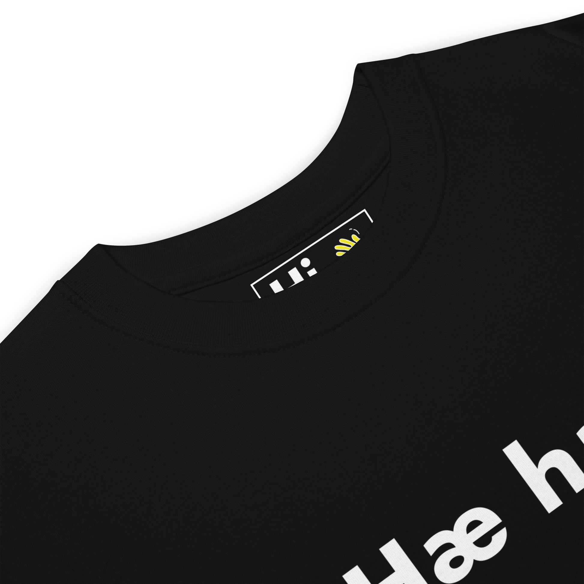 Hi Hæ hæ Icelandic Greeting T shirt in black front detail