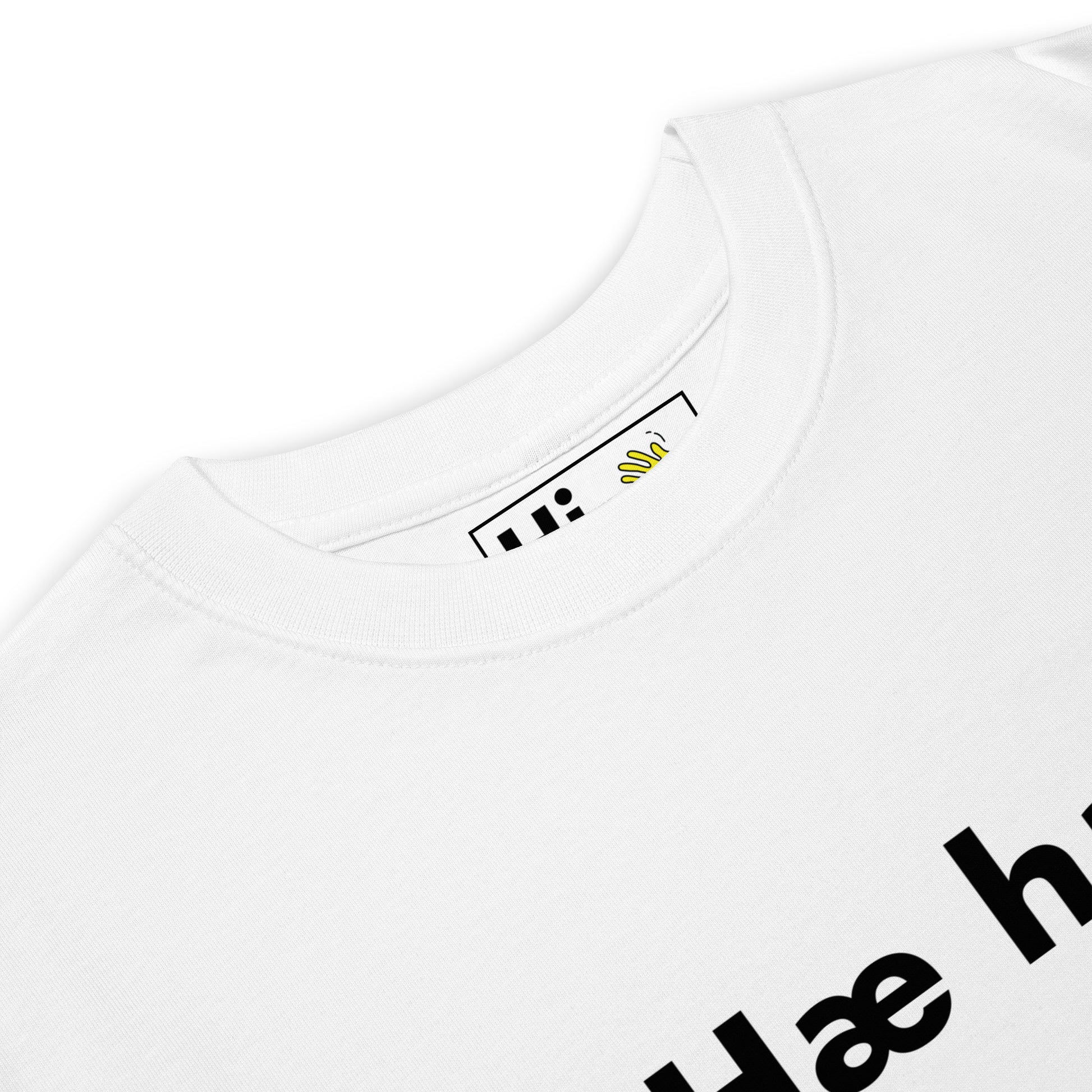 Hi Hæ hæ Icelandic Greeting T shirt in white front detail