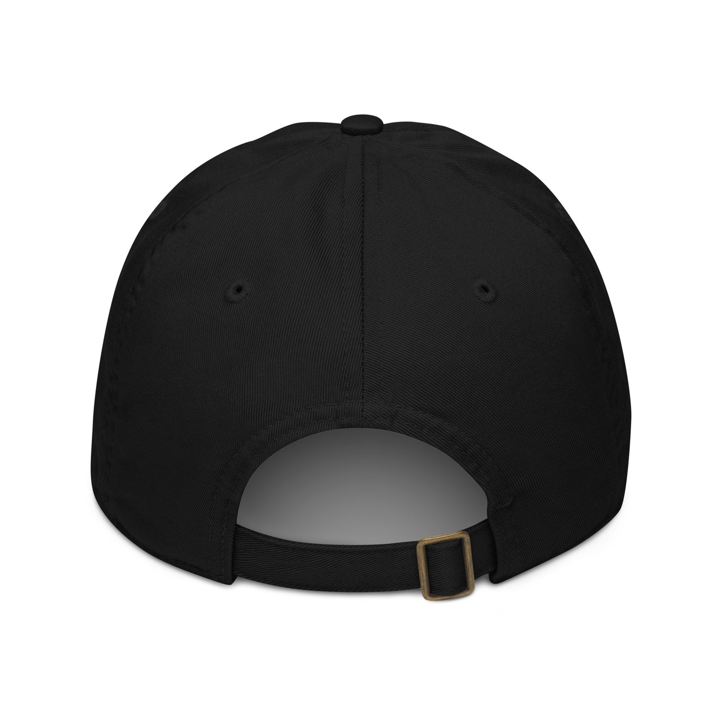 Hi Hey twin baseball cap black back