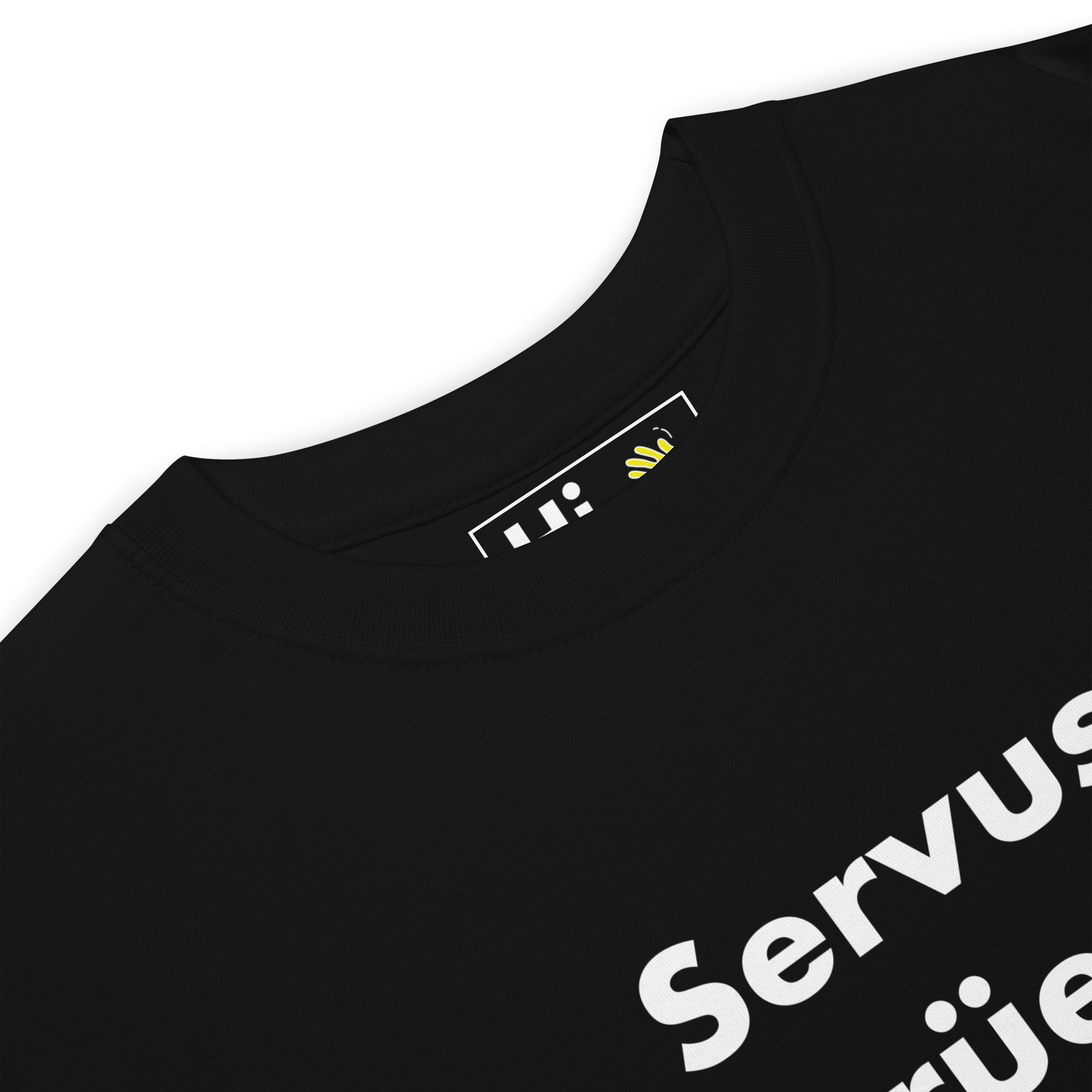 Hi Swiss German Greeting T shirt Servus Grüezi Hallo in black front detail